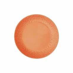 Aida Essteller 24cm orange^ Speiseteller