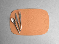 Untersetzer>Aida Platzset 45x30,6cm orange