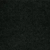 Astra Fußmatte schwarz^ Fußmatten