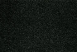 Astra Fußmatte schwarz^ Fußmatten