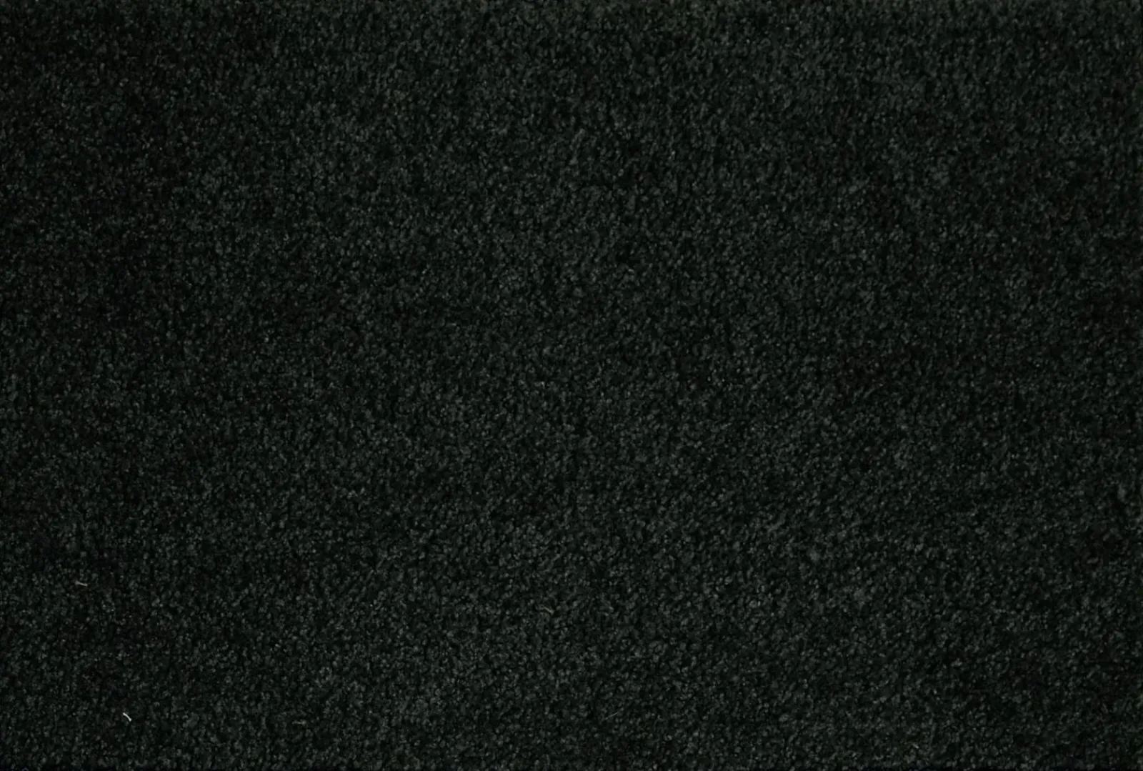 Astra Fußmatte schwarz^ Fußmatten
