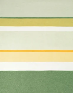 Biederlack Plaid grün^ Wohndecken