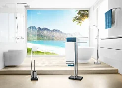 Dekoration|Badzubehör>Blomus Toilettenbutler silberfarben