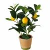 Boltze Topfpflanze 32cm mehrfarbig^ Dekoration