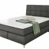 Boxspringbetten|Betten> Boxspringbett grau