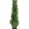 casa NOVA Deko-Zypresse 120cm grün^ Dekoration