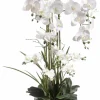 Pflanzen>casa NOVA Orchidee 150cm schwarzweiß