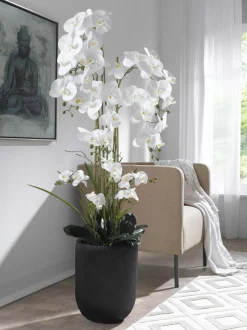 Pflanzen>casa NOVA Orchidee 150cm schwarzweiß