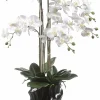 casa NOVA Orchidee 110cm schwarzweiß^ Pflanzen