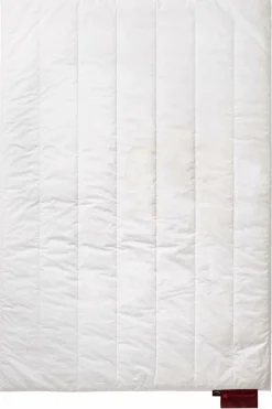 Bettdecken>CENTA-STAR Ganzjahresbett 540g weiß