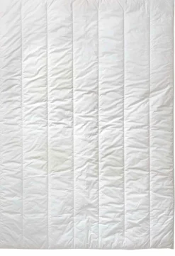 Bettdecken>CENTA-STAR Ganzjahresbett 480g weiß
