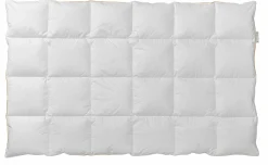 Bettdecken>CENTA-STAR Ganzjahresbett 640g weiß
