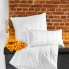 Bettdecken>CENTA-STAR Ganzjahresbett 750g weiß