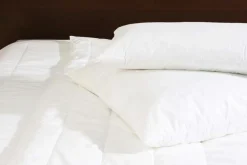 CENTA-STAR Ganzjahresbett 900g weiß^ Bettdecken