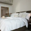 Bettdecken>CENTA-STAR Ganzjahresbett 620g weiß