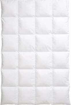 CENTA-STAR Kassettenbett 1060g weiß^ Bettdecken
