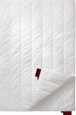 CENTA-STAR Vierjahreszeitenbett 340g weiß^ Bettdecken