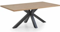 Esstische> Design-Tafel braun