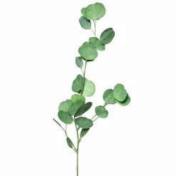 Pflanzen>DPI Eukalyptuszweig 75cm grün
