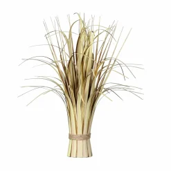 Pflanzen>DPI Gras 40cm beige