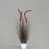Pflanzen>DPI Gras m. Fruchtstand 70cm grün