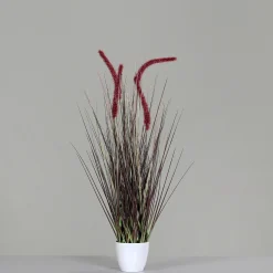 Pflanzen>DPI Gras m. Fruchtstand 70cm grün