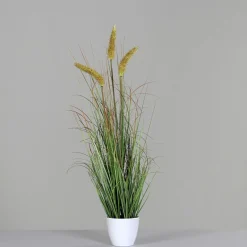 Pflanzen>DPI Gras m. Fruchtstand 75cm grün
