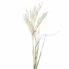 Pflanzen>DPI Pampasgras 97cm beige
