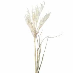 Pflanzen>DPI Pampasgras 97cm beige