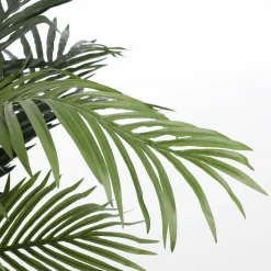 Pflanzen>Edelman Grüne Bäume grün