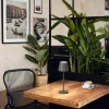 Tischleuchten>FH Lighting LED-Akku-Tischleuchte 1flg grau