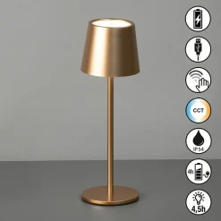 FH Lighting LED-Akku-Tischleuchte 1flg braun^ Tischleuchten