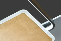 Deckenleuchten>Fischer & Honsel LED-Deckenleuchte 1flg schwarz