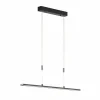 Fischer & Honsel LED-Pendelleuchte 1flg schwarz^ Pendelleuchten