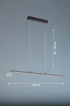 Fischer & Honsel LED-Pendelleuchte 1flg schwarz^ Pendelleuchten