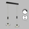 Pendelleuchten>Fischer & Honsel LED-Pendelleuchte 2flg schwarz