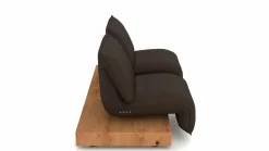Funktionselement 2-sitzig braun^ Sofas & Couches