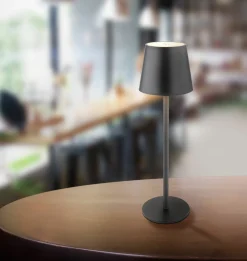 Globo LED - Akku - Tischleuchte 1flg mehrfarbig^ Tischleuchten