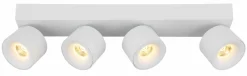 Spots><noscript><img width=