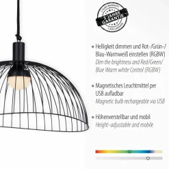 JUST LIGHT LED-Akku-Pendelleuchte 1flg schwarz^ Außen Dekobeleuchtung|Außenleuchten