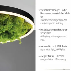 JUST LIGHT LED-Deckenleuchte 1flg grün^ Deckenleuchten