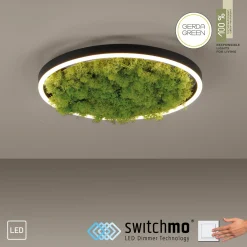JUST LIGHT LED-Deckenleuchte 1flg grün^ Deckenleuchten