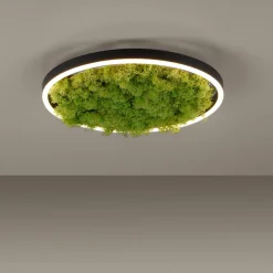 JUST LIGHT LED-Deckenleuchte 1flg grün^ Deckenleuchten