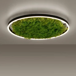 Deckenleuchten>JUST LIGHT LED-Deckenleuchte 1flg grün