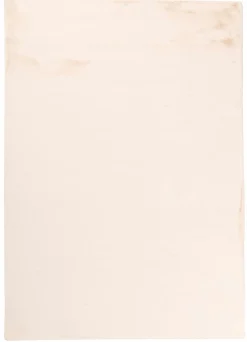 Felle & Kunstfelle>Karpi Moderner Webteppich beige