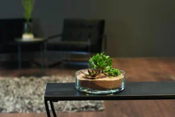 Leonardo Schale 22,4cm transparent^ Dekoration