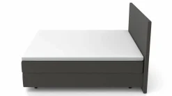 Boxspringbetten|Betten>MONDO Boxspringbett grau