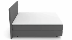 MONDO Boxspringbett grau^ Boxspringbetten|Betten