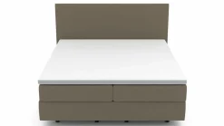 MONDO Boxspringbett grün^ Boxspringbetten|Betten