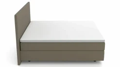 MONDO Boxspringbett grün^ Boxspringbetten|Betten